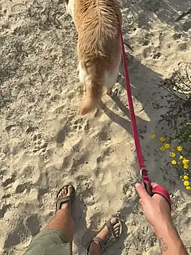 haramnarab online show from 10/28/25, 12:37