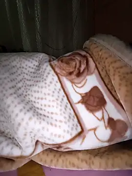 Snapshot of Shalu_G chatting on 11/15/25, 01:20 Shalu G online show from 11/15/25, 01:20