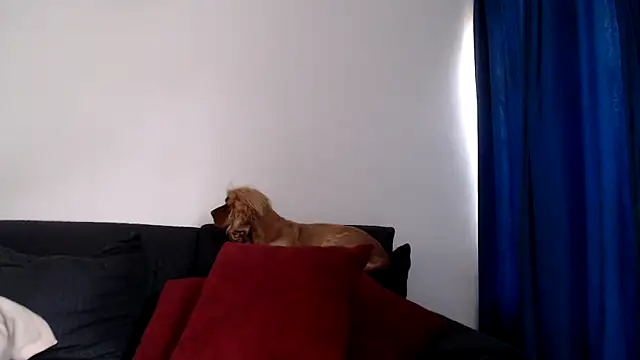 Snapshot of evilheart_69 chatting on 12/18/25, 05:50 evilheart 69 online show from 12/18/25, 05:50