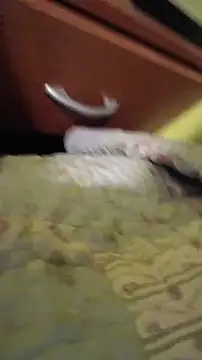 juanfritaa21 online show from 03/08/26, 01:33