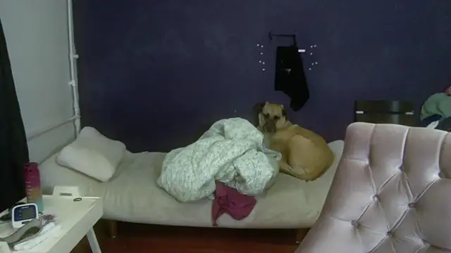 turkishTransEfsun online show from 11/03/25, 10:08