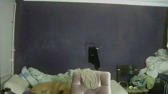 turkishTransEfsun online show from 11/26/25, 05:57