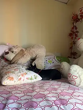 MiaRousexxx  online show from 11/26/25, 08:31