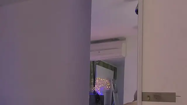 HollyTailors online show from 12/17/25, 06:40