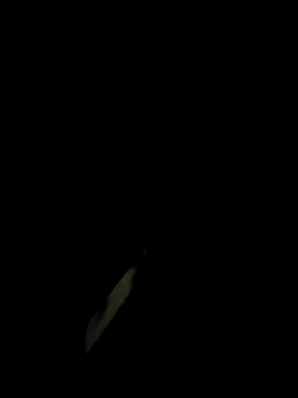 monty935 online show from 11/30/25, 01:23