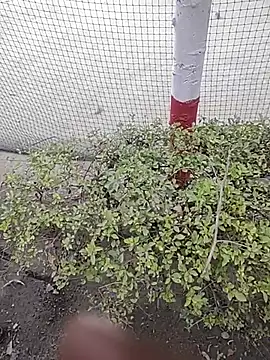 monty935 online show from 12/04/25, 11:42