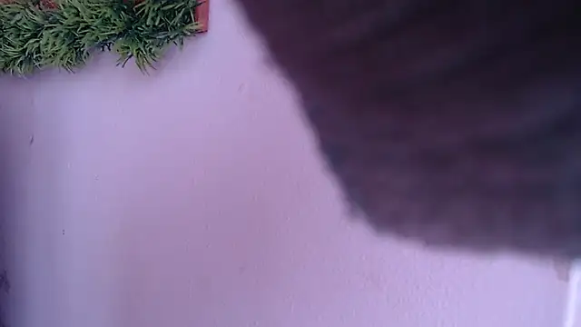 IVONNE COLLINS33 online show from 09/24/25, 01:50