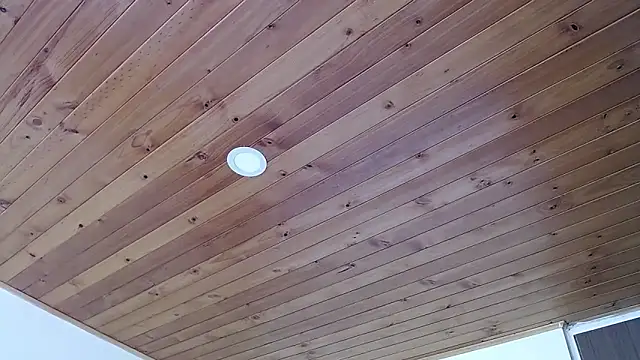 IVONNE COLLINS33 online show from 09/21/25, 02:22