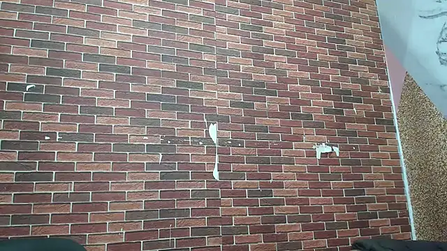 Sexvergon 26 online show from 03/22/26, 01:23