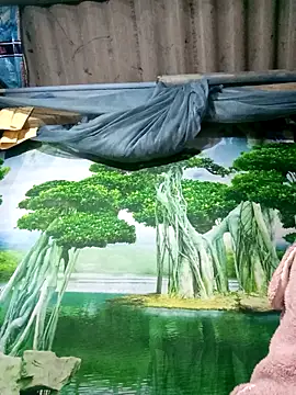 Snapshot of MaiHoa69 chatting on 11/15/25, 02:54 MaiHoa69 online show from 11/15/25, 02:54