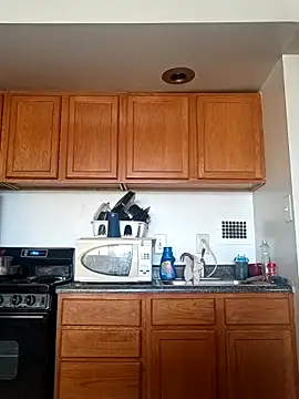 Longthickdick33 online show from 04/08/26, 01:23