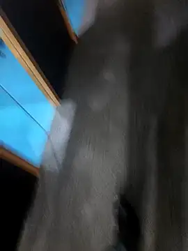 hotboy43339 online show from 03/01/26, 03:06