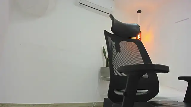 damian bull online show from 11/01/25, 08:36