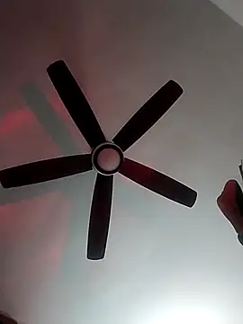 MoonlikePolicy727 online show from 02/22/26, 05:14