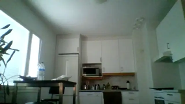 Silverhippo online show from 05/20/26, 06:16