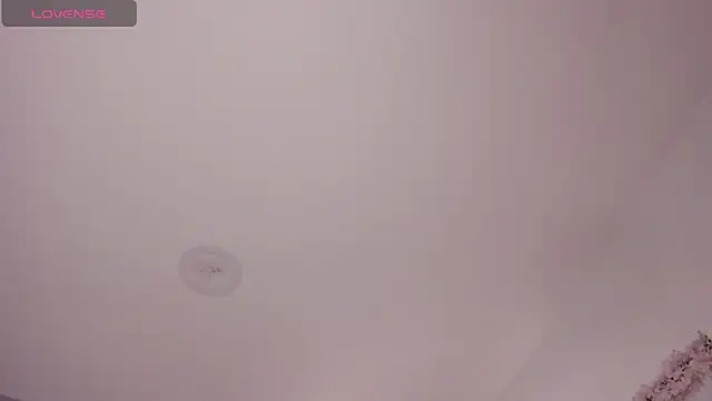 Laureen se online show from 02/03/26, 02:53