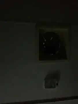 shakeweight online show from 10/03/25, 11:01