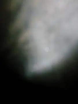 Snapshot of fena-sikerimmm chatting on 05/19/26, 10:06 fena-sikerimmm online show from 05/19/26, 10:06