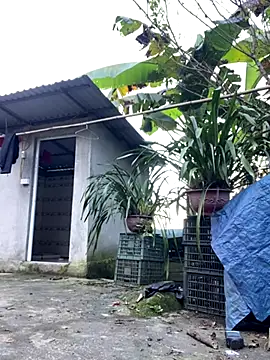 Huong-Ly online show from 10/05/25, 01:46