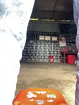 Huong-Ly online show from 11/14/25, 04:05