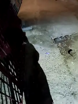 nughtytommy01 online show from 04/10/26, 08:05