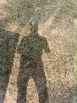 nughtytommy01 online show from 12/17/25, 06:07