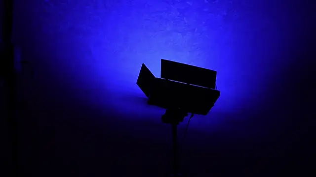 Stella Vanila online show from 11/01/25, 11:15