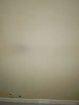 estefymariam88 online show from 11/29/25, 07:52