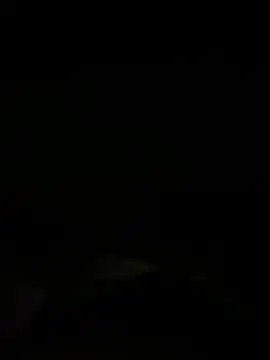 Dora  baby online show from 11/19/25, 12:05