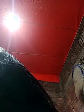 BOBITA 1 online show from 12/20/25, 06:33