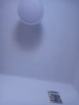 gigolobcn online show from 03/12/26, 06:34