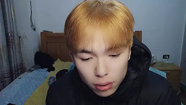 w5206t online show from 12/05/25, 05:44