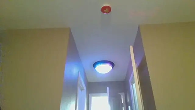 LeeCox online show from 01/10/26, 10:43