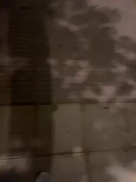 Wild2XXX online show from 10/21/25, 11:26