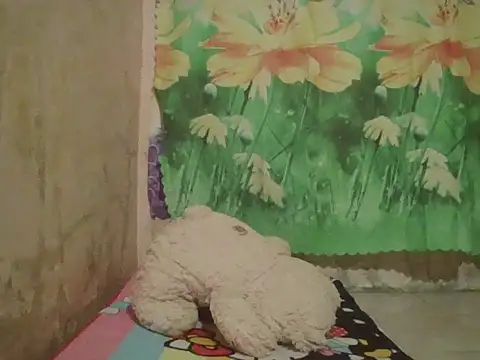 Snapshot of sexymorenal18 chatting on 09/27/25, 01:39 sexymorenal18 online show from 09/27/25, 01:39