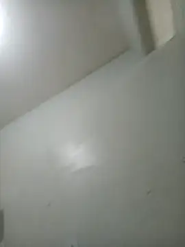 phfreitas online show from 09/23/25, 06:42