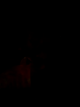 M818115 online show from 05/19/26, 06:59
