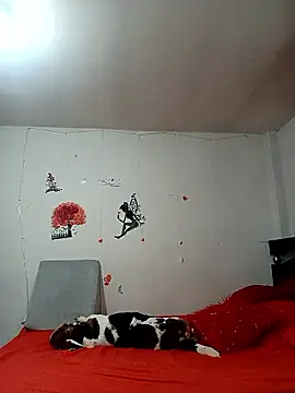 Lady 16 online show from 01/06/26, 01:53