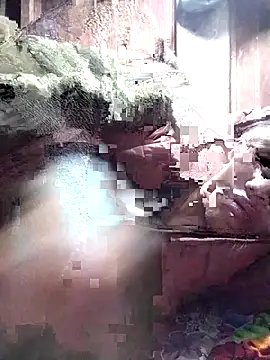 Snapshot of PhamPm70 chatting on 11/22/25, 10:41 PhamPm70 online show from 11/22/25, 10:41