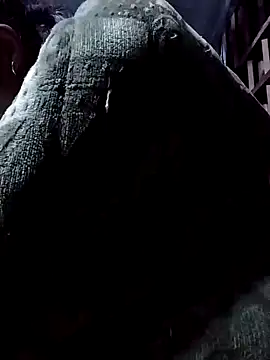 Snapshot of PhamPm70 chatting on 11/17/25, 11:58 PhamPm70 online show from 11/17/25, 11:58