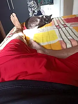 comobucetinhas online show from 11/14/25, 07:28