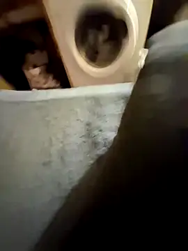 lapousse3 online show from 09/25/25, 11:38