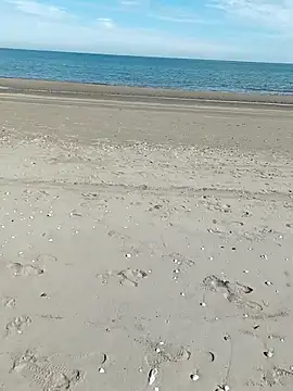 pegaso369 online show from 10/09/25, 11:22