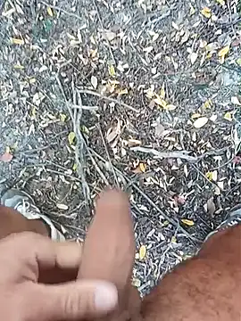 pegaso369 online show from 10/15/25, 02:14