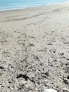 pegaso369 online show from 10/07/25, 11:33