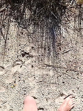 pegaso369 online show from 10/01/25, 01:26