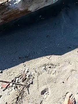 pegaso369 online show from 10/03/25, 01:56