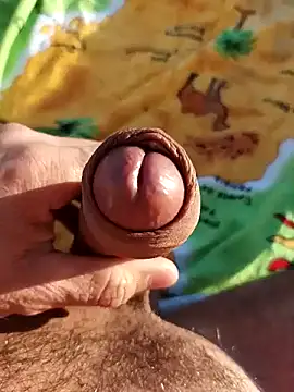 pegaso369 online show from 11/03/25, 02:53