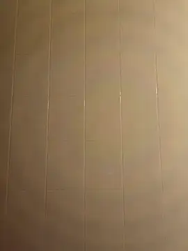 pegaso369 online show from 12/16/25, 06:56