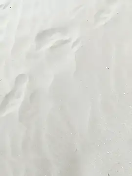 pegaso369 online show from 09/22/25, 01:17